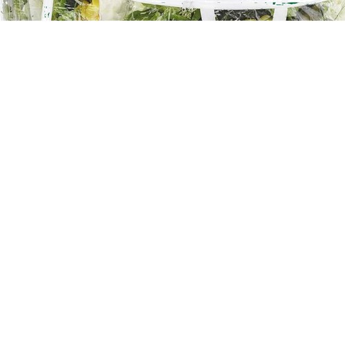 Protect your holiday - protect, wreaths